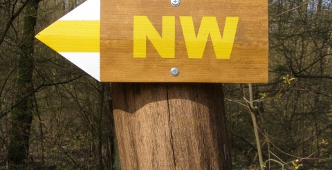 2 Oznakowanie tras nordic walking w Parku Krajobrazowym Promno (fot