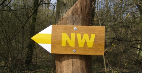 1 Oznakowanie tras nordic walking w Parku Krajobrazowym Promno (fot