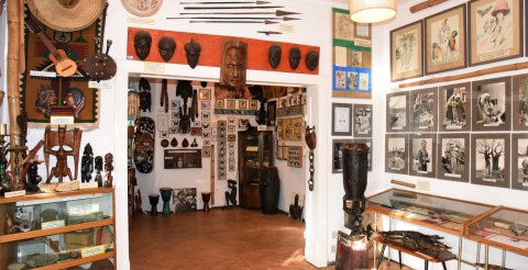 Ekspozycja w Muzeum Arkadego Fiedlera w Puszczykowie (fot