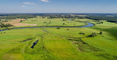 Dolina Warty koło Rogalinka (fot
