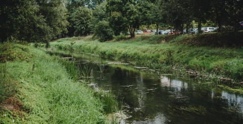 Kanał Mosiński (fot