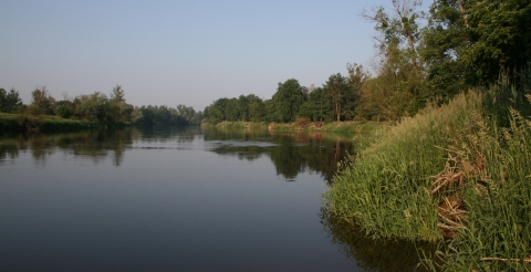 Warta na Łęgach Mechlińskich (fot