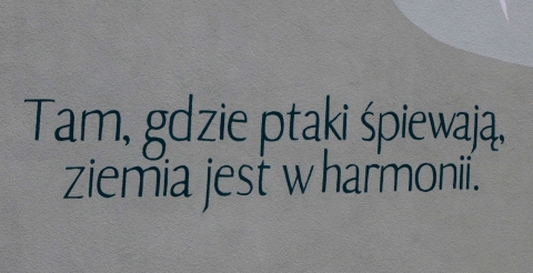500600862_1249912727141883_4824438594041777008_n