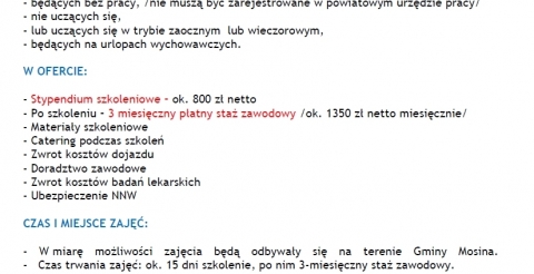 plakat młodzi X 2017
