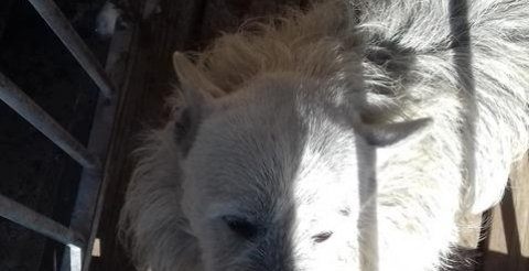 20180319_095707 (Copy)
