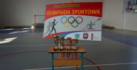 11 Olimpiada (Copy)