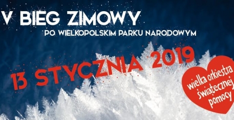 46458013_2825103837515774_9173573222497517568_n