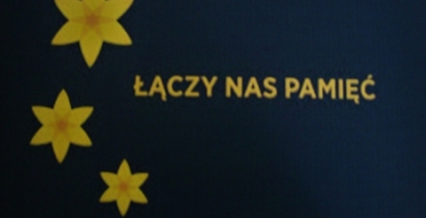 Żonkil2