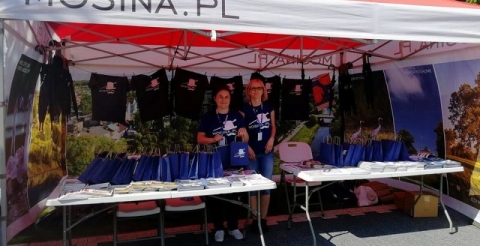 promocja 2019