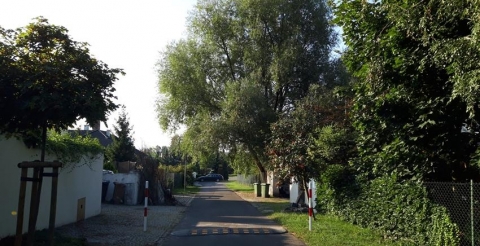 20190904_082220 (Copy)