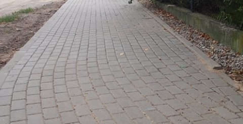 70382494_461716677751196_1617265528672354304_n