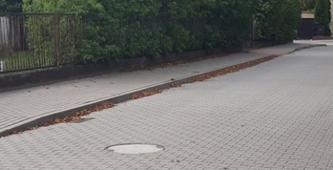 70655460_526245811473314_6039679309096943616_n