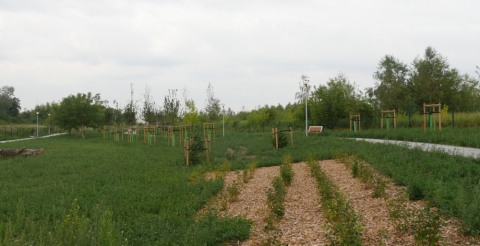 P1230545