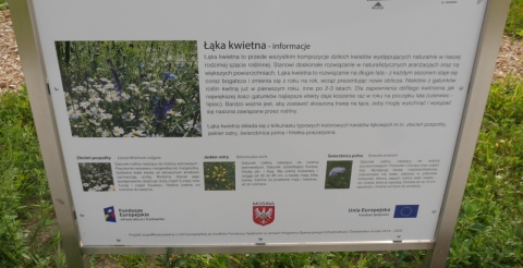 P1230517