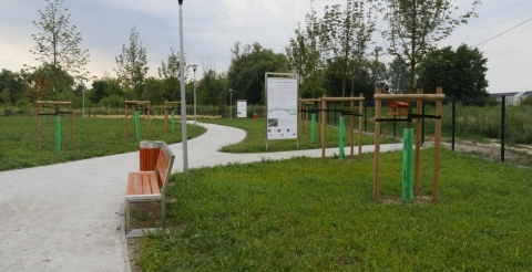 P1230562