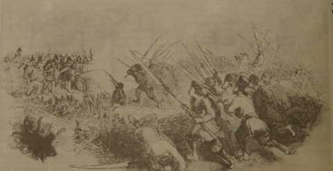 E4D6ACE6-82F4-718A-7D71-1826ED2916BD