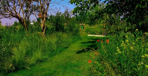 IMG_20200613_085335 (1)