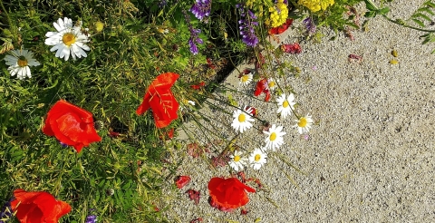 IMG_20200613_085425
