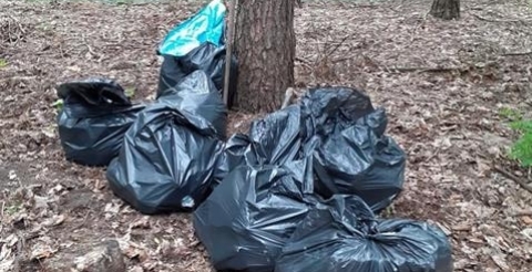 107675869_3026274337598809_3506918483801793814_n (Copy)