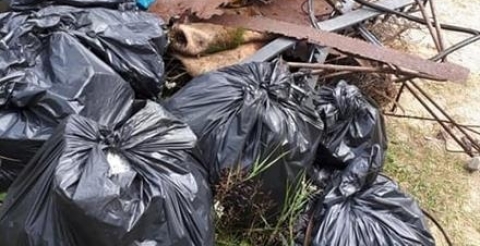 107824491_1438944486293562_5649964966338390357_n (Copy)