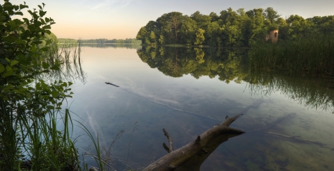 1 Jezioro Góreckie - inspiracja dla filmu i książki Tarapaty 2 (fot