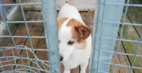 06-2023  przez Straż Miejską w Jeziorach