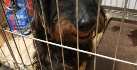 04.02.2023 r.  przez Firmę Ptasior w Mosinie przy ul. Strzeleckiej/Strzałowej. 