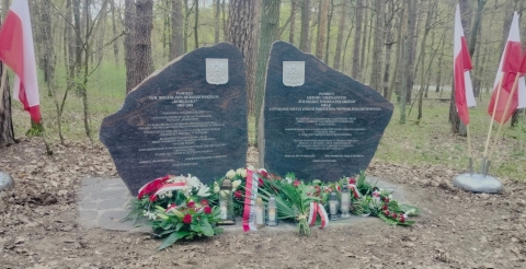 IMG20230427113724