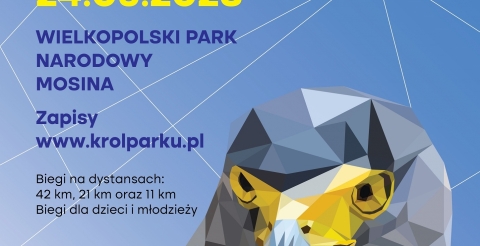 Król Parku