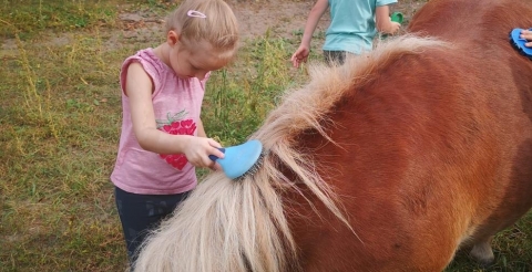 PHOTO-2023-09-22-12-19-01 (Copy)