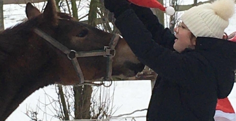 image_123923953 (1) (Copy)