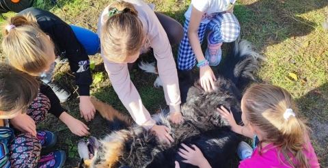 PHOTO-2023-10-05-13-26-15_1 (Copy)