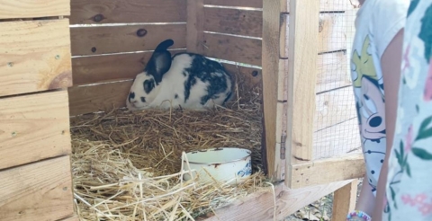 PHOTO-2023-10-05-13-26-16_1 (Copy)