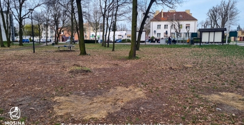 park przed montażem nowych urządzeń zabawowych