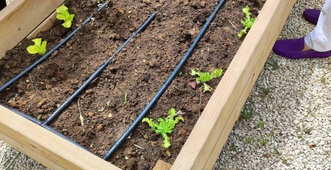 img-20240515-wa0094 (Copy)