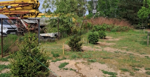 13 Nasadzenia wiosenne