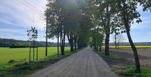 16 Nasadzenia wiosenne