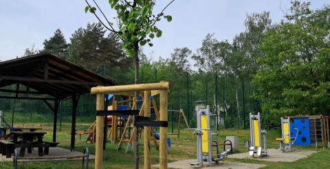 12 Nasadzenia wiosenne