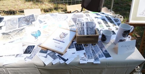 019 Szeroko na Wąskiej i festiwal Po Drodze