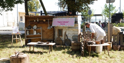 026 Szeroko na Wąskiej i festiwal Po Drodze