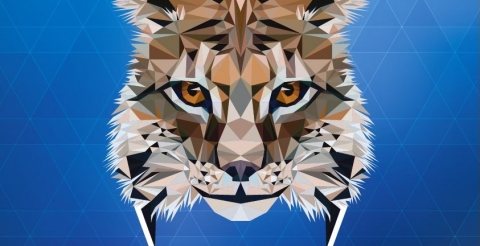 Trwają zapisy na 8 edycję Króla Parku