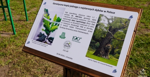 55 Otwarcie sali gimnastycznej w Krosinku