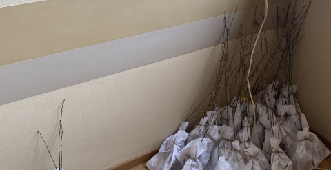 489291156_1158822206036456_1198218943709048850_n