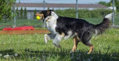 DSC_8684 (Średnie)