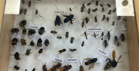 WhatsApp Image 2025-05-17 at 13