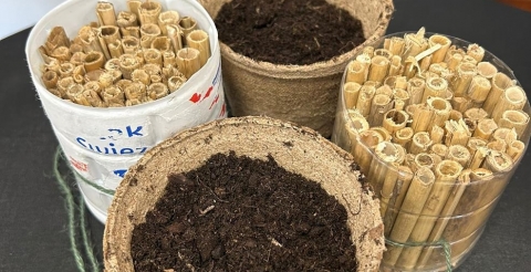 WhatsApp Image 2025-05-17 at 13