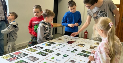 WhatsApp Image 2025-05-17 at 13