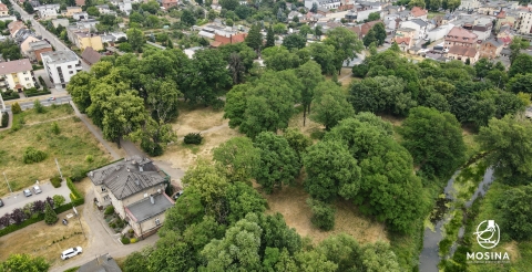 12 Okolice pałacu Budzyń2