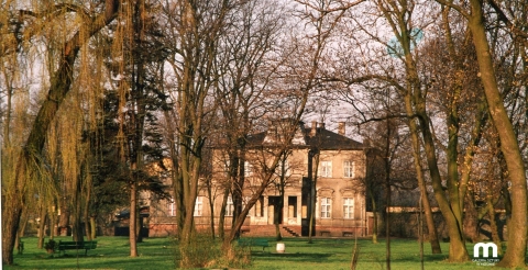 Park i pałac Budzyń1