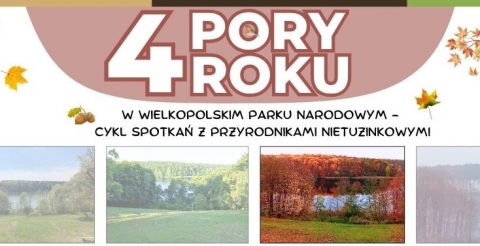  Cztery pory roku w Wielkopolskim Parku Narodowym - jesień